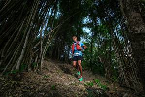 BIB: 
                            <button type="button" onclick="openModal(19395299)" class="btn btn-primary btn-sm float-right btn-popup" data-toggle="modal" data-target=".modal-high-quality">
                        <i class="fas fa-shopping-cart"></i> Add to Cart
                    </button>
                                            <button type="button" onclick="isThisMe(19395299, true)" class="btn btn-success btn-sm float-right btn-popup btn-isme hidden" data-toggle="tooltip" data-placement="bottom" title="นี่คือรูปของคุณใช่ไหม คลิกที่นี่เพื่อเอาเข้าอัลบั้ม">
                        <i class="fas fa-plus"></i> Add to album
                    </button>
                    <button type="button" onclick="isThisMe(19395299, false)" class="btn btn-warning btn-sm float-right btn-popup btn-isnotme hidden">
                        <i class="fas fa-ban"></i> Remove from album
                    </button>